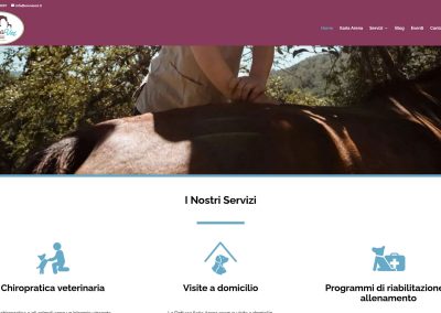 gabriele-latte-web-design-&-it-consulting-portfolio-progetti-recenti-arena-veterinaria